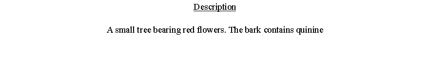 Text Box: DescriptionA small tree bearing red flowers. The bark contains quinine 
