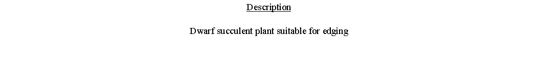 Text Box: DescriptionDwarf succulent plant suitable for edging 