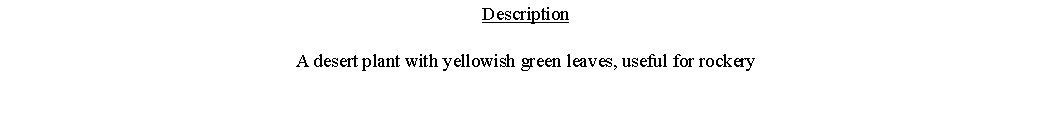 Text Box: DescriptionA desert plant with yellowish green leaves, useful for rockery 