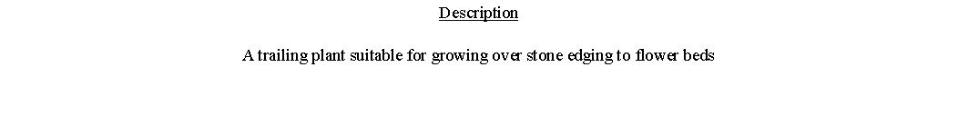 Text Box: DescriptionA trailing plant suitable for growing over stone edging to flower beds 