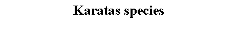 Text Box: Karatas species 