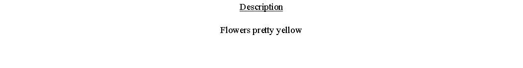 Text Box: DescriptionFlowers pretty yellow 