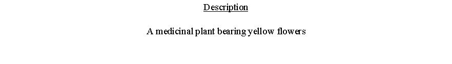 Text Box: DescriptionA medicinal plant bearing yellow flowers 
